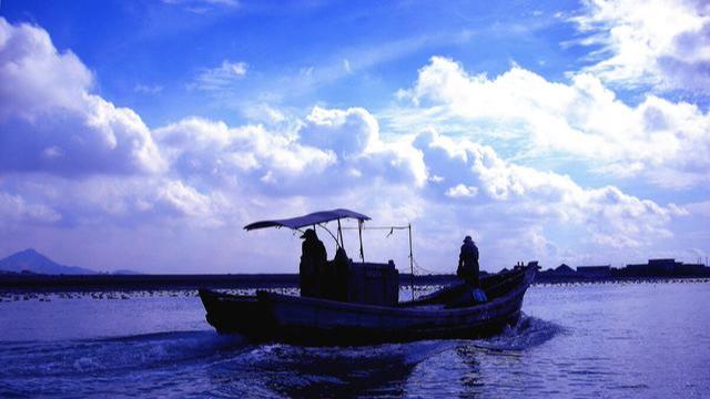 |放生大海的鱼，为什么要在鱼肚子上捅一个洞？