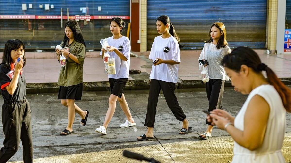 软件|深圳往事：90年代被查暂住证的经历，坟地都睡过，这样也比抓到强