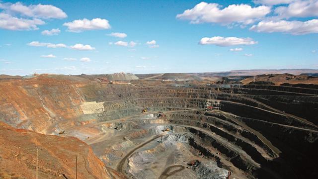 传闻中有1306条腿的“千足虫”被发现，毒性很强？