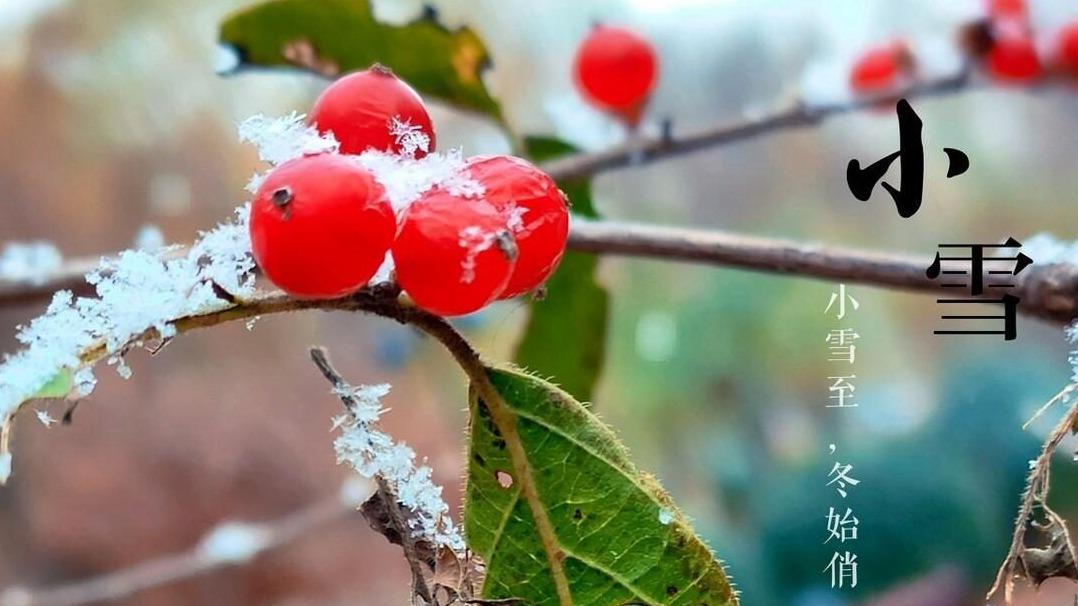 农村老话“小雪无雪大雪补，大雪无雪农民苦”，要怎么理解呢？
