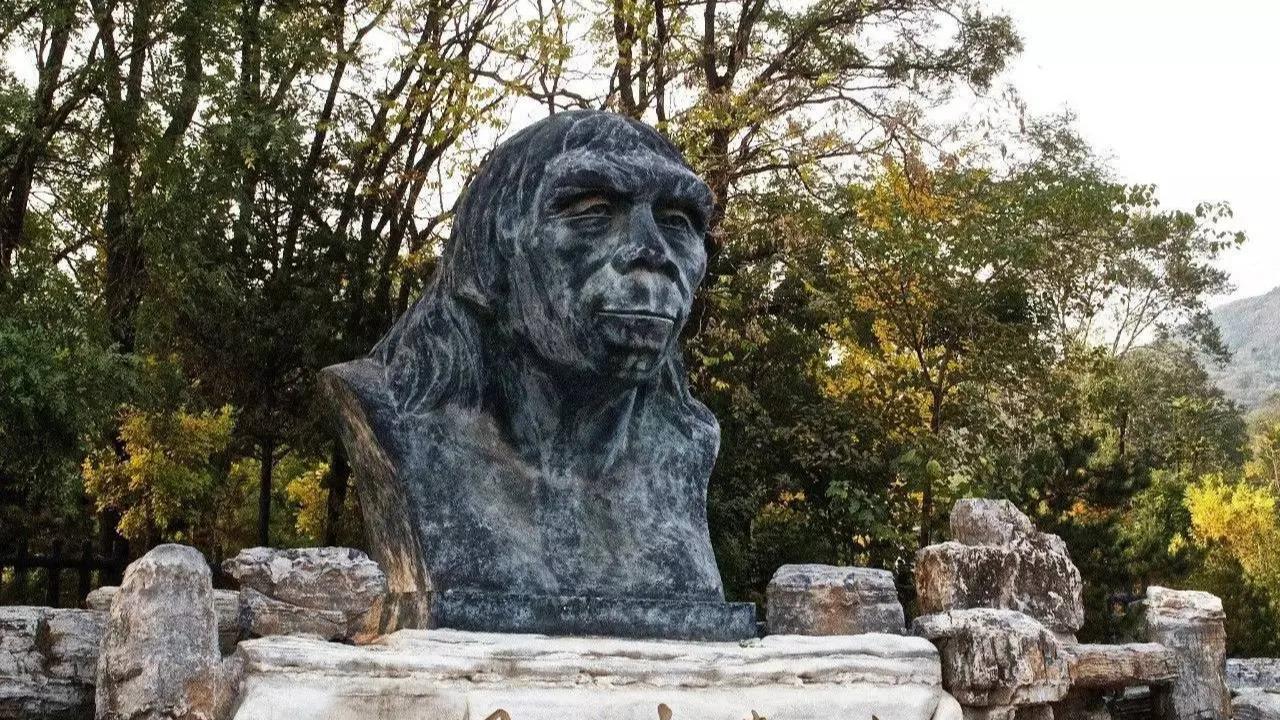 黑人的基因与白种人相近，还是黄种人的基因与白人接近？