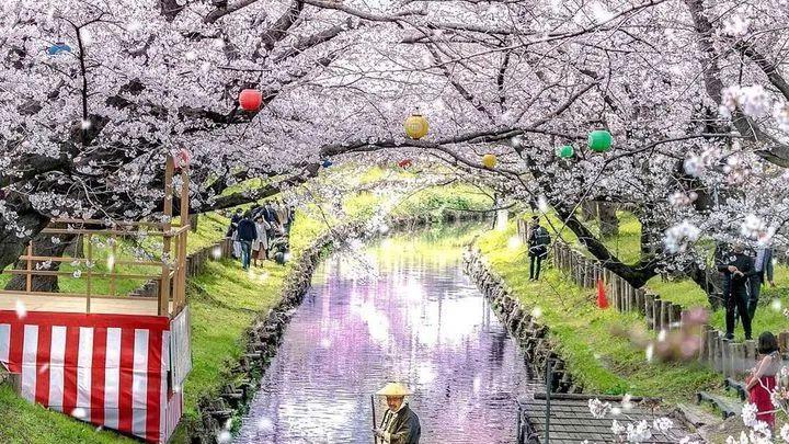 埼玉县|日本社交网络上点赞最多的美景前10，竟然是这些地方