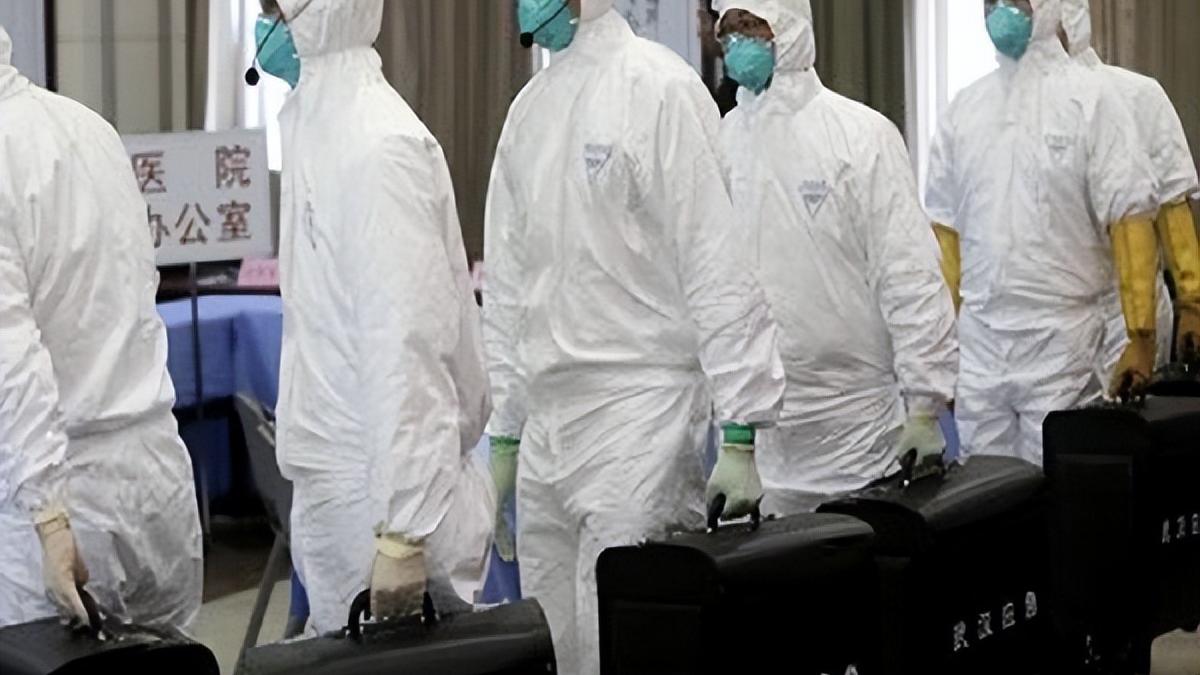 不只是人类！动物界充满了冠状病毒，或能从中得到对付新冠的方法