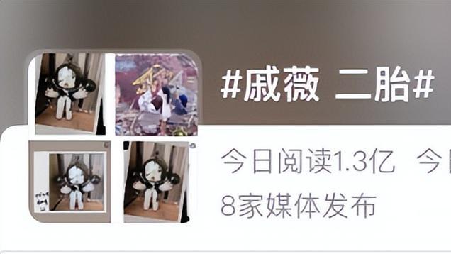 二胎|二胎随母姓，网友：戚薇真是丢了老祖宗的脸