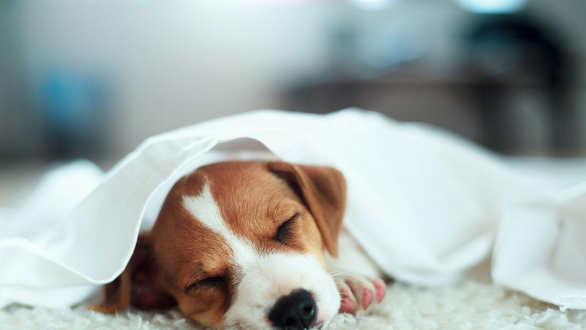 衬衫|沟通能力差？框架效应，职场人必须知道的沟通技巧！