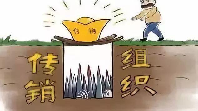 泰安抓获两名“纯资本运作”传销组织犯罪嫌疑人
