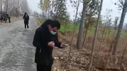 ?河南濮阳，一男子开车回家的路上，意外发现上百只小鸡无人认领