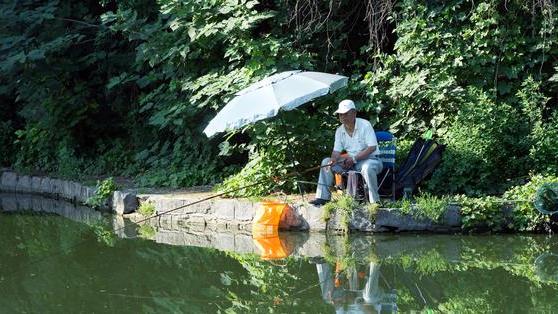 钓鱼|钓鱼界的扫地僧！一根鱼竿外加钢筋当铅坠，大爷轻松实现了连杆