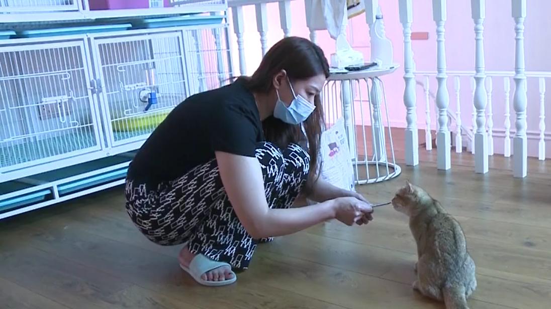 女子花3000元买的小母猫，几个月后竟是公猫：它去爬母猫！