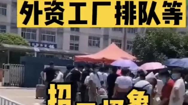 大学生|本地工厂月薪近万也招不到人？外企门口却排长队，求职者道出真相