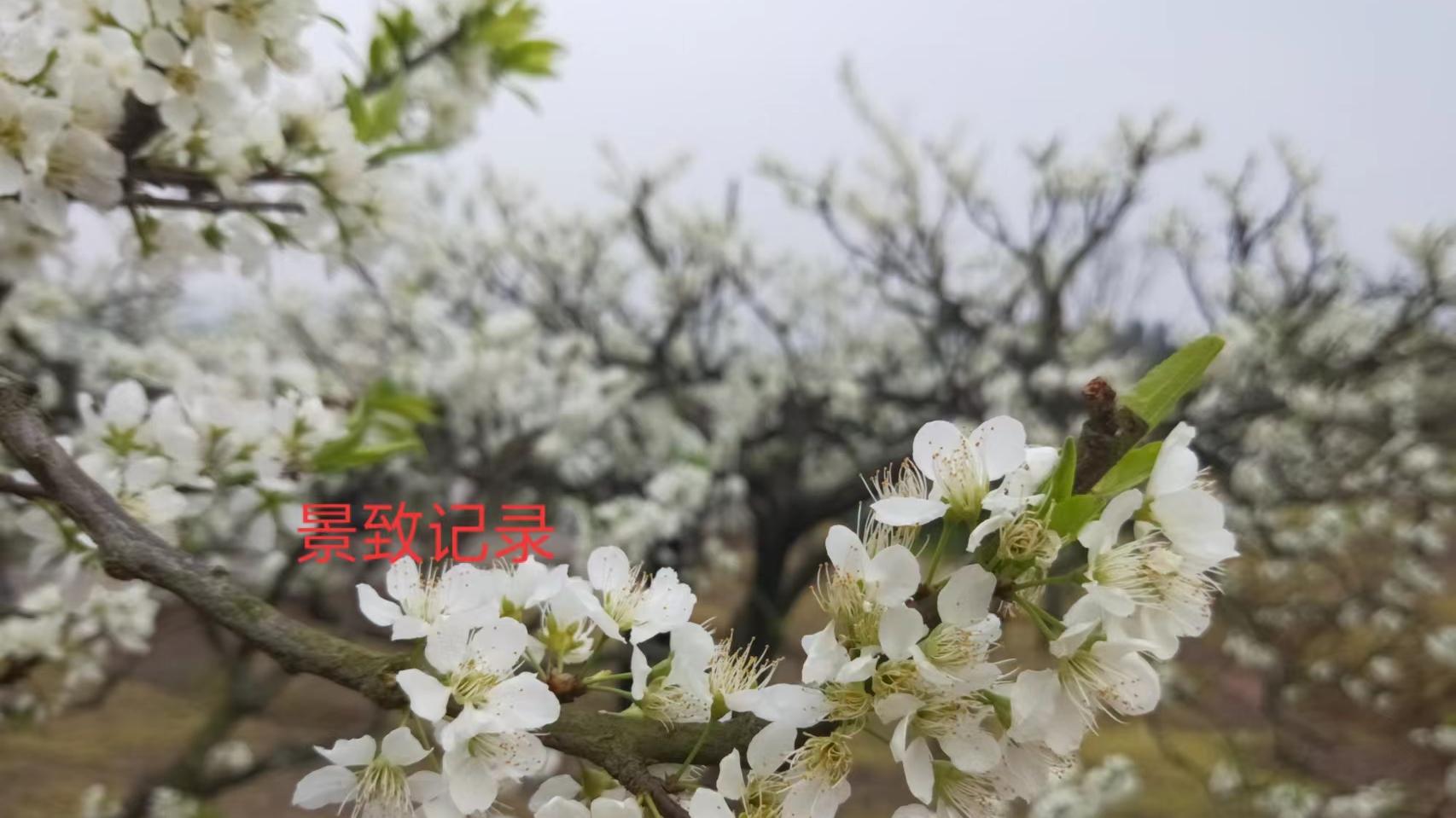 南浔古镇|景致记录：到广西南宁的沿途，徐霞客乘的轿子最简易，淋的雨最大