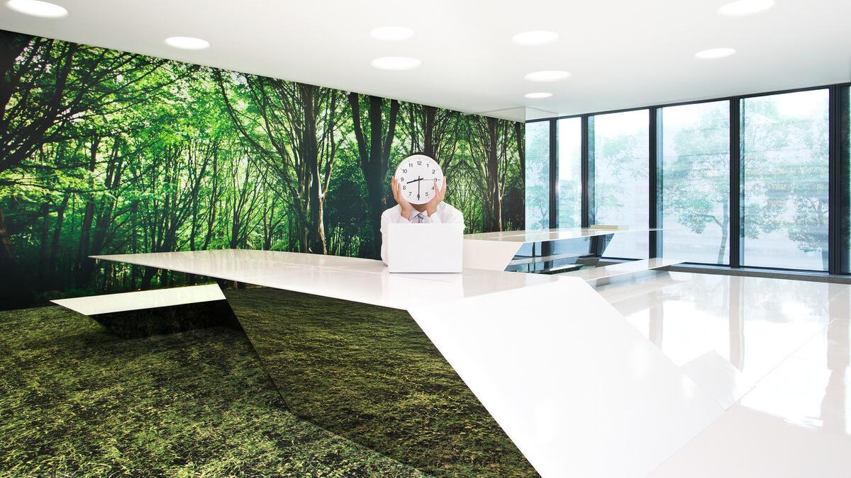 应届生|应届生如何建立自己的职业经验