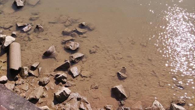 自媒体|一个脑袋一热就开始做自媒体的新人的一些话