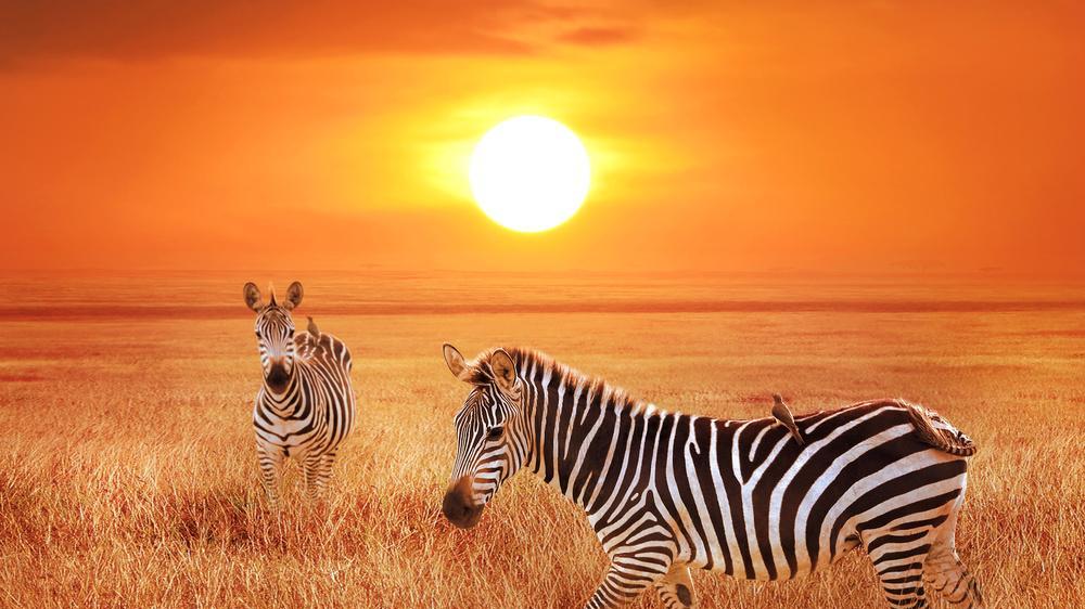 科学家发现，全球磁场强度下降9%，地球未来可能变成火星？