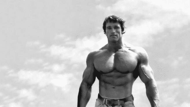 阿诺德·施瓦辛格|他是真打之王，痛揍施瓦辛格，一拳将史泰龙打住院，如今62岁依旧疯狂