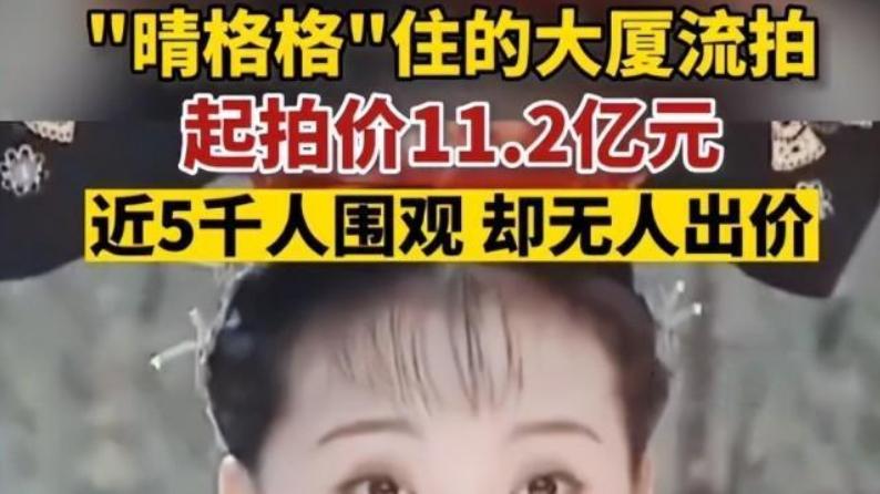 姐姐|王燕丈夫欠6900W失联，豪宅以11亿起拍没人买，网友: 难道富豪梦破