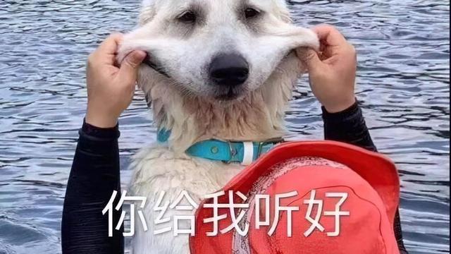 程序员|八零后中年职业规划：“35岁之后，女的月嫂保洁，男的外卖保安”