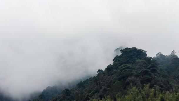 露营|三清山丹霞地貌景区，专供给游客免门票服务