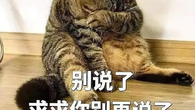 招聘|80后中年女人真实状态：“衣服廉价，日子无奈，生活一地鸡毛”