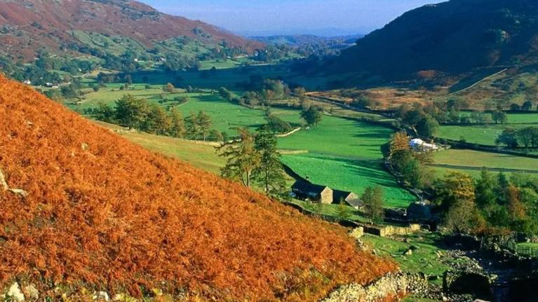 鹅鸭杀|承认错误，比撇清自己更重要