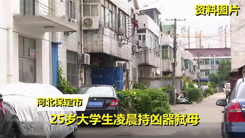 大学生|河北一大学生因没考上研究生，被母亲唠叨几句后，将母亲击打致死