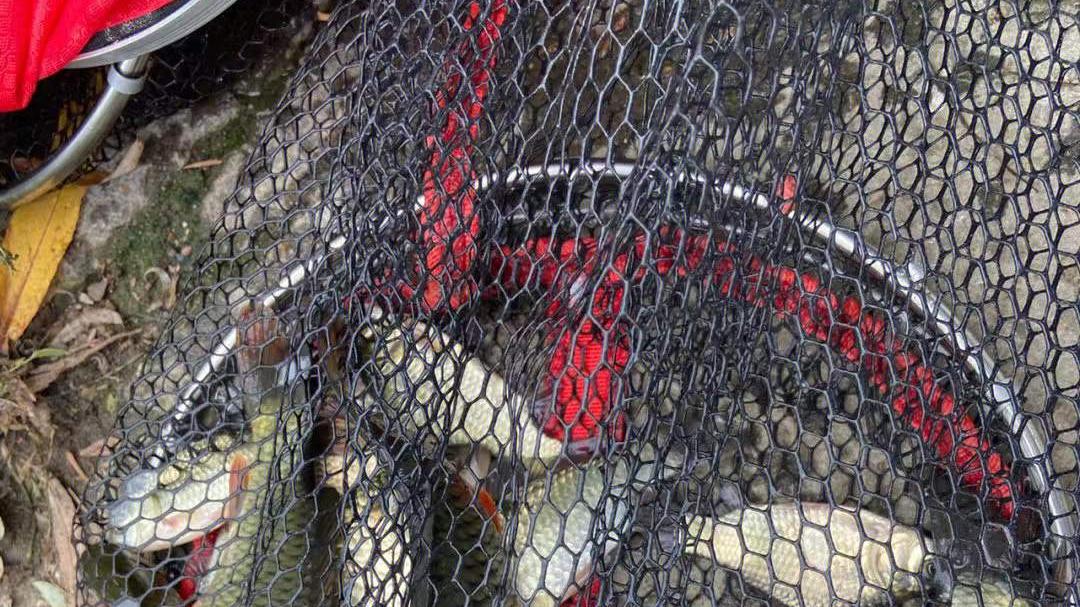 |新手快速调漂，只需三步！