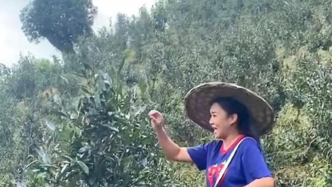 黎瑞恩|49岁黎瑞恩罕露面，手拎背篓乡间采茶心情好，穿衣朴素无人识