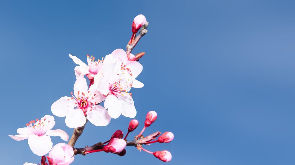 |在现实生活中，熬过来出头，熬不了沉沦