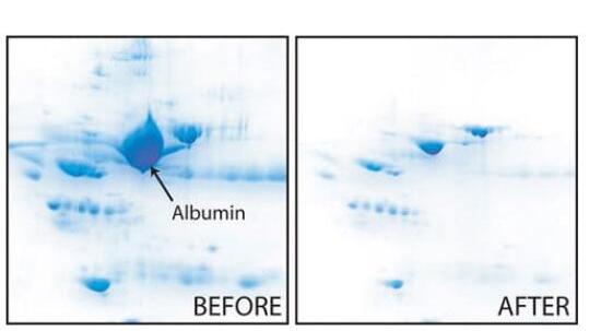 分馏和浓缩试剂盒素丨G-Biosciences 白蛋白OUT?方案