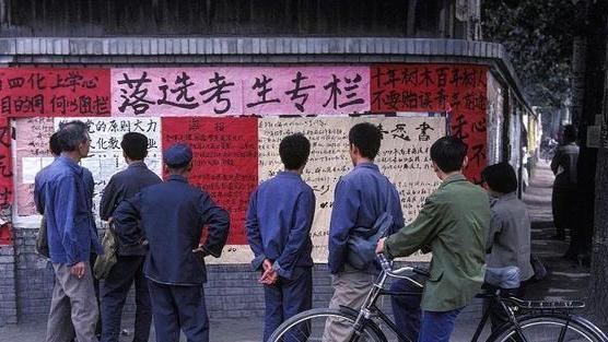 职业教育|博士因学历求职被拒绝，公司为何更看重第一学历，到底有多重要？