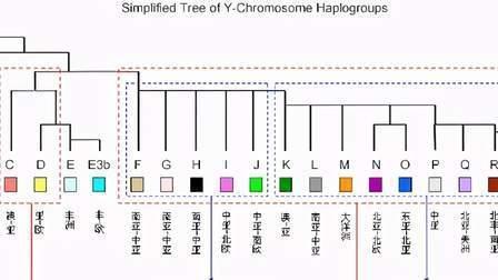 世界人类基因图谱简介：看看每一种基因都是什么民族？