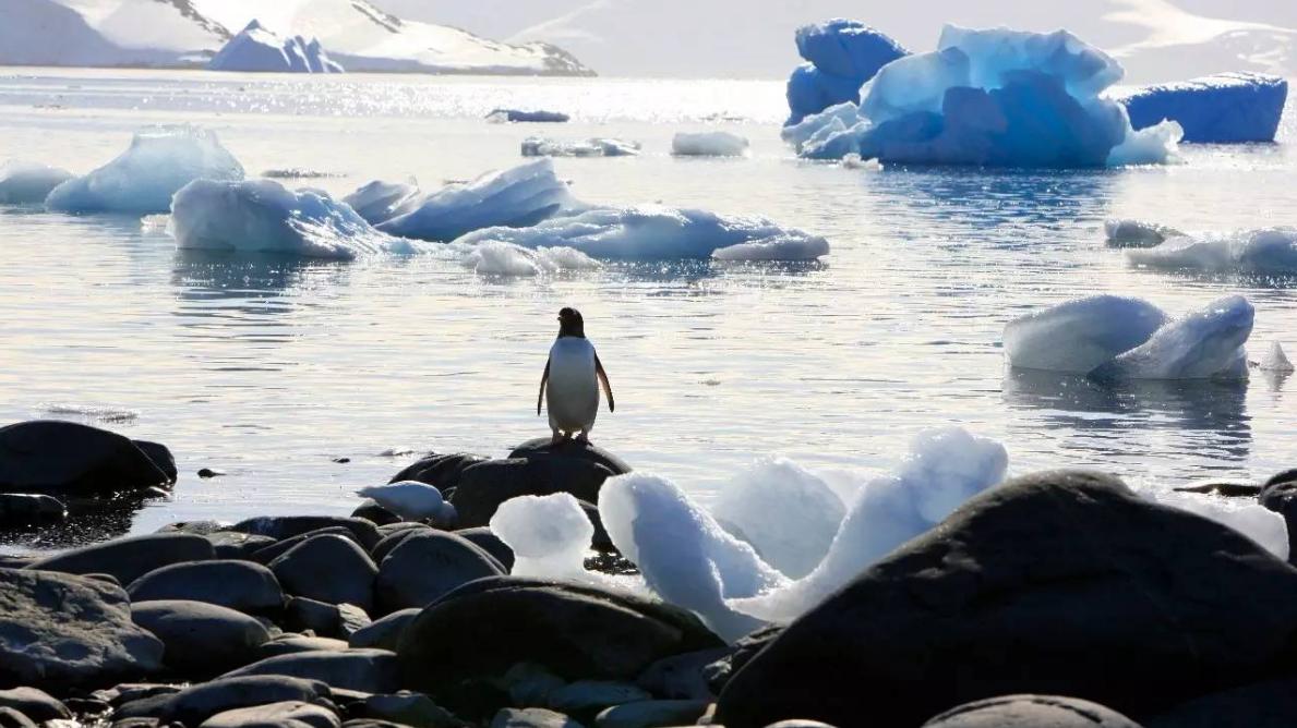 人类是如何发现南极的？偌大的南极大陆为何不是任何国家的领土？