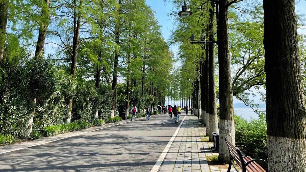 武汉|凌波门：那年夏天宁静的“海”