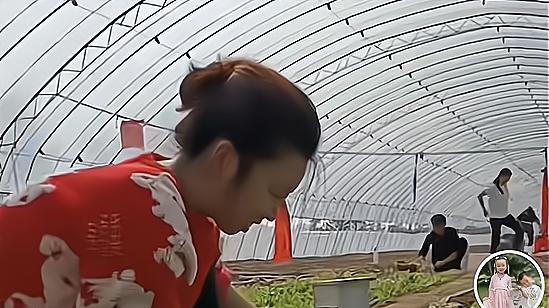 许敏|田静改变思路，农产品成为带货新方向，网友：何时跟许敏互动？