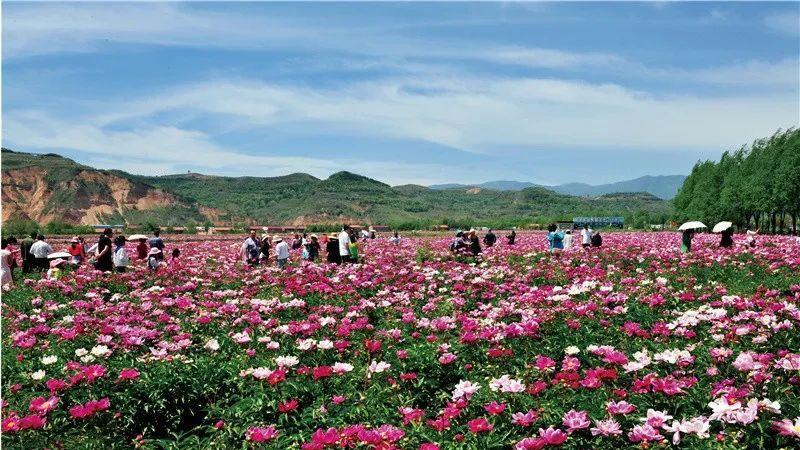 华亭|平凉乡村诗意之旅——诗画华亭(十四)