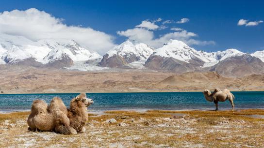 天池|新疆最大的湖泊，被称为“青藏高原的小西藏”，你知道是哪里吗？