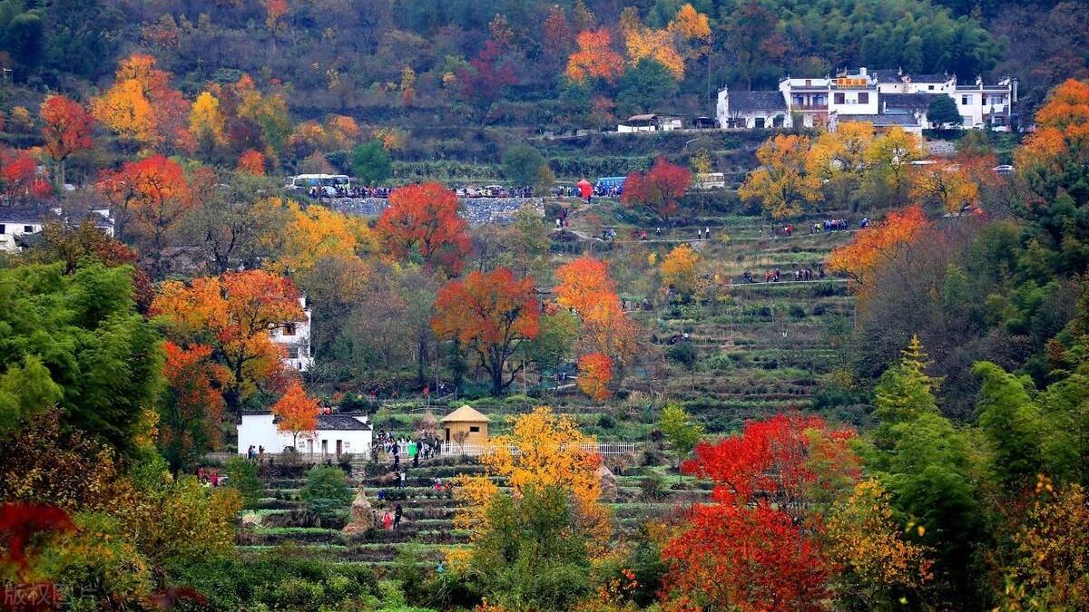 桂林|安徽有一风情小镇，人称皖南“小九寨”，最美的秋景就在这里