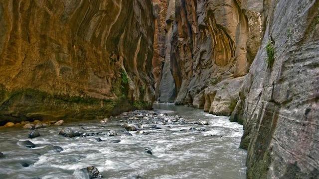 狮子座|水瓶座，也是一个做事很有原则的人