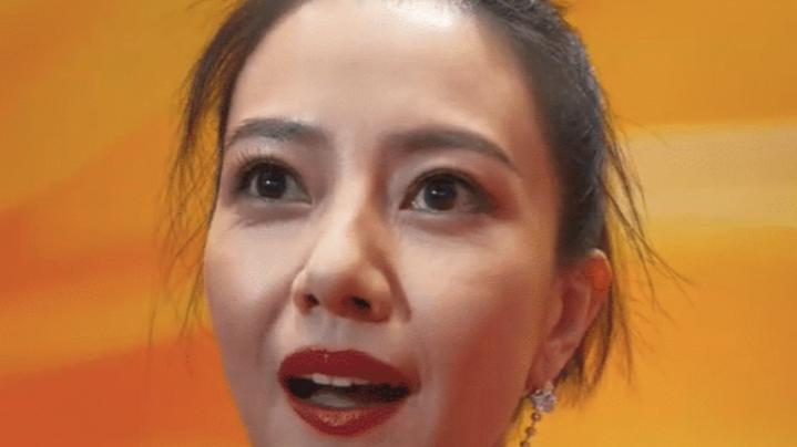 高圆圆|高圆圆怎么也不会想到，自己近十年辛苦营造的魅力人设就这样被央视的镜头出卖了。