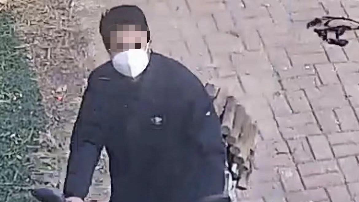 已报警！绿化圆木被男子“拿”走 居民“隔空断喝”没好使