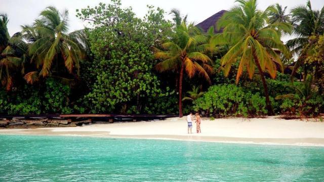 |让人一看就忍不住放松的乡村种田文，远离城市的喧嚣，走进大自然中