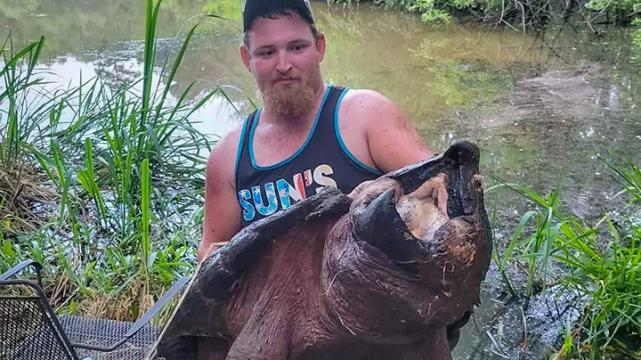 美国|美国男子湖边钓鱼，意外钓起一头百岁鳄龟，重达72公斤