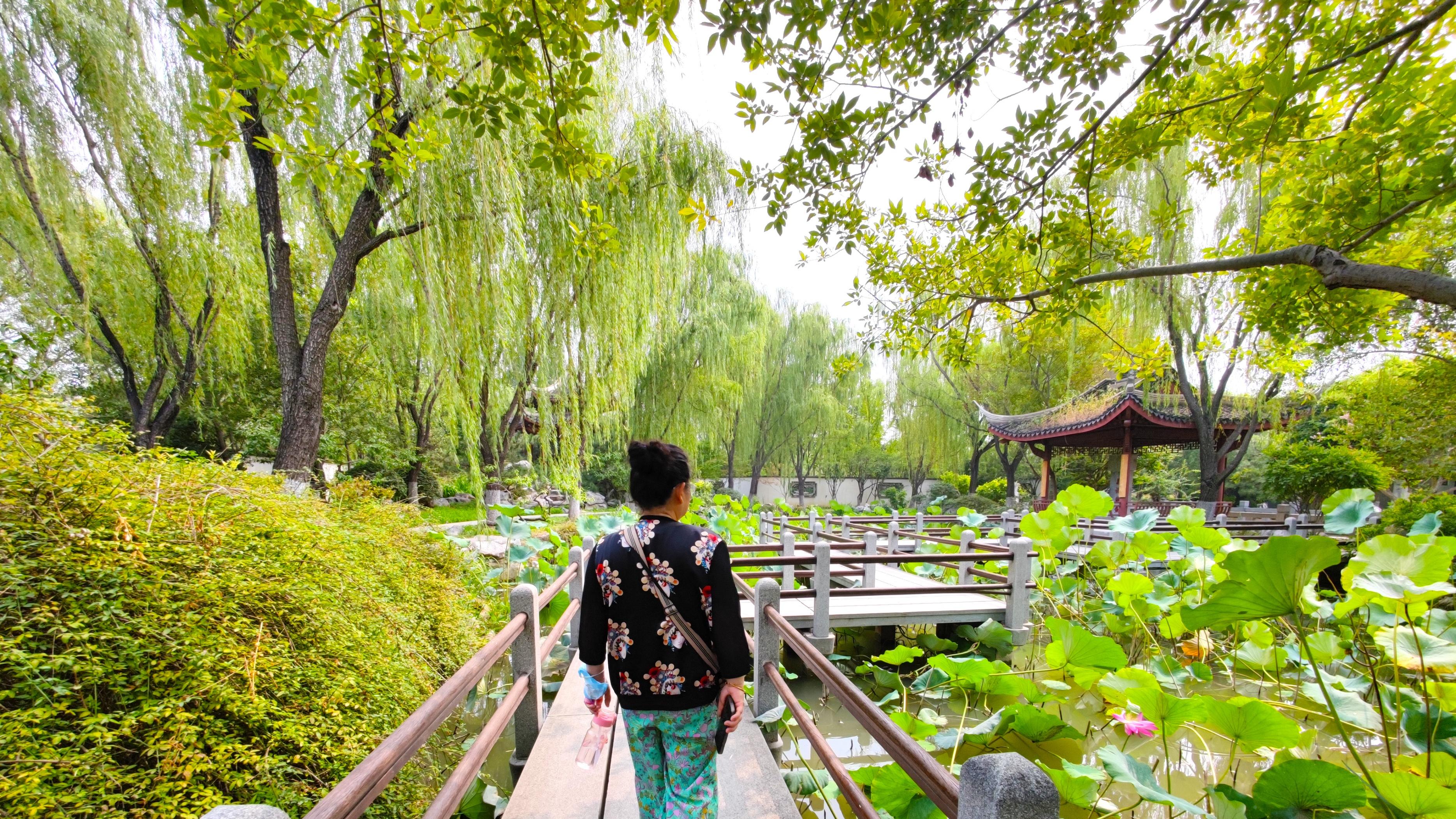 北京市|北京秋游好去处，这个公园限时免费了，一整天都逛不完