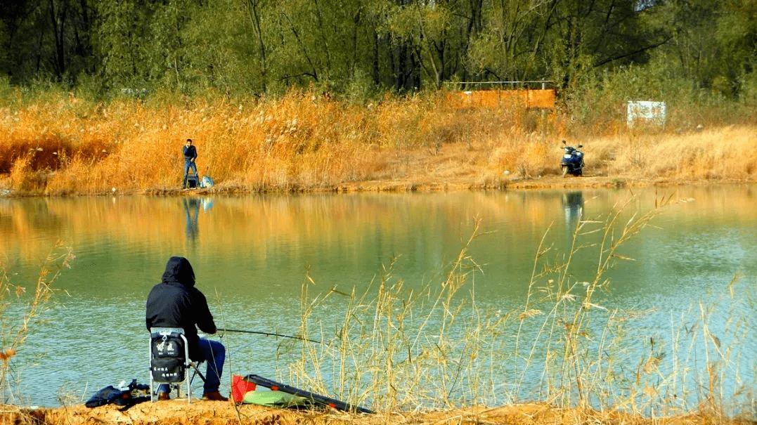 空军|深秋出钓，这4种钓位别选，一旦选了铁定空军，老钓手都绕道走
