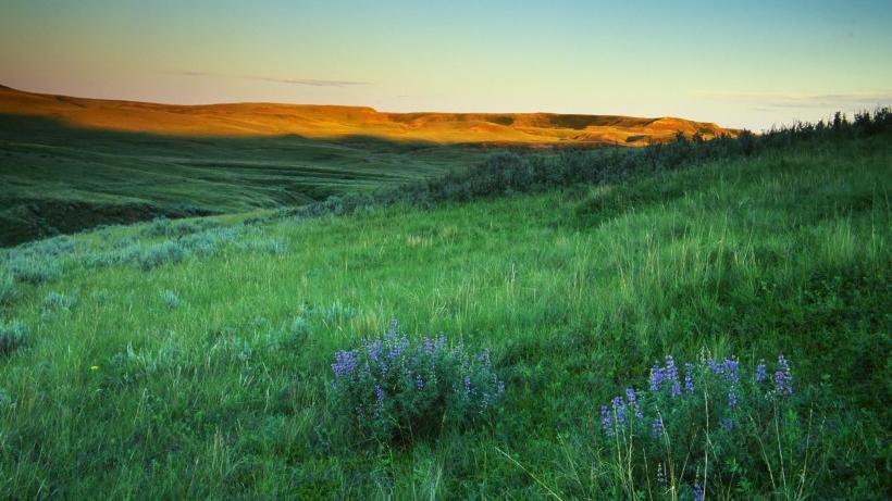 |有智慧，有眼界的星座，活得清醒，懂得把握和把握机会