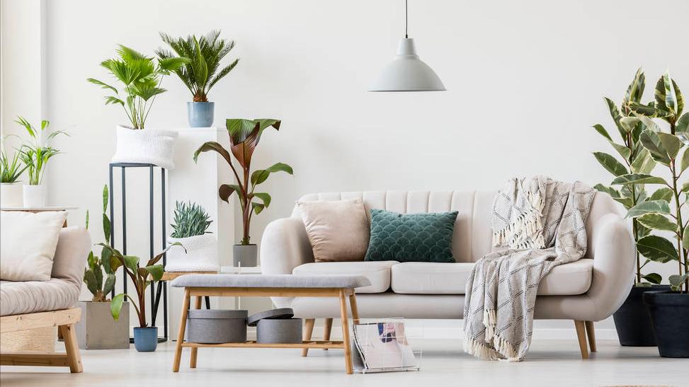 家中墙面霉菌“疯狂”生长？教你2个小妙招，和霉菌说拜拜