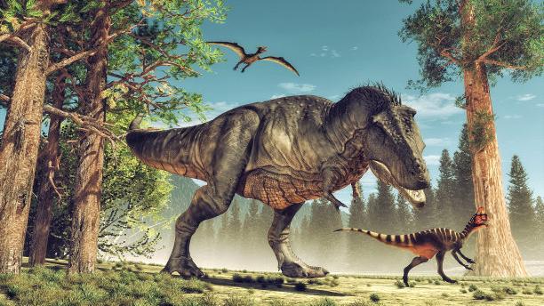 人类在非洲发现7000米长恐龙化石，恐龙祖先属于第一代恐龙