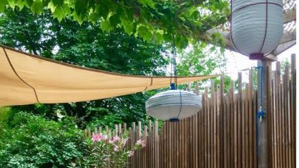 都说“1楼带院”好，但只有住过的人才知道，到底有多闹心