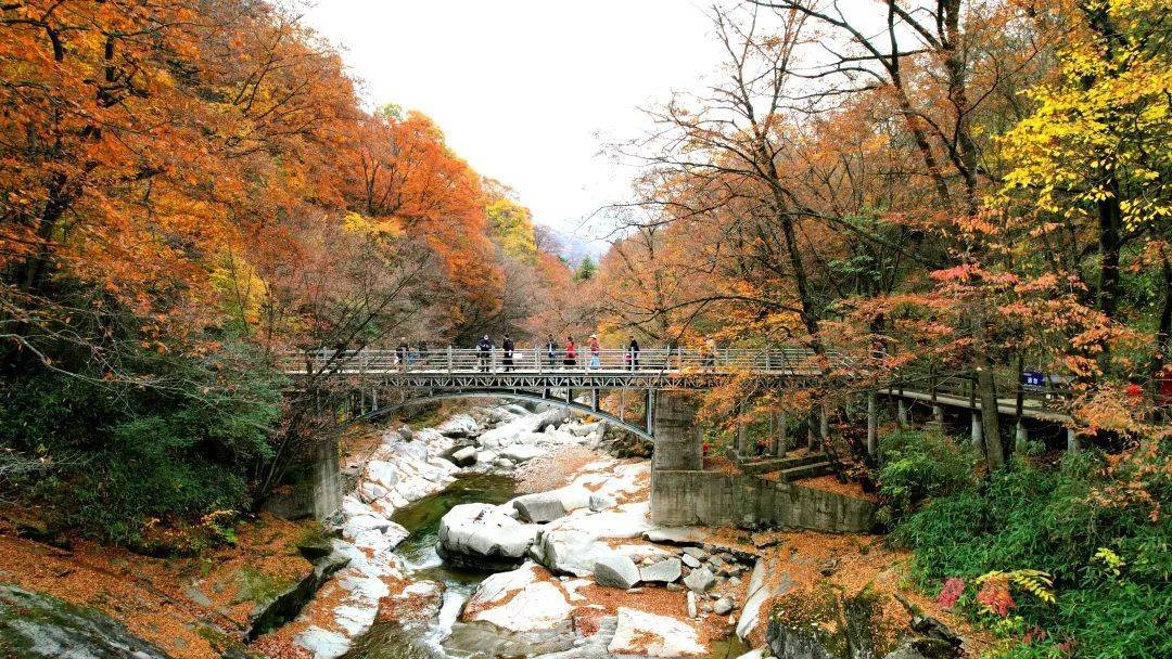光雾山|“醉美金秋—光雾山红叶诗会”分享丨雷文《光雾山碎句（组诗）》