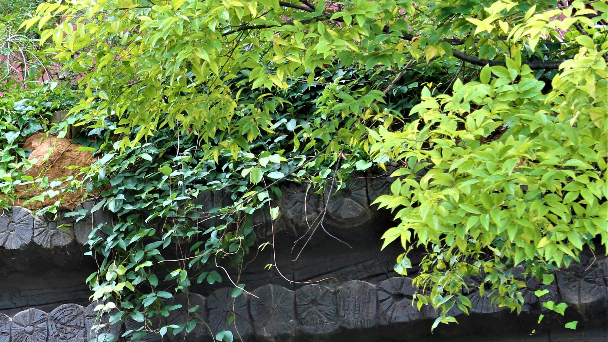 教师|心悦诚服？不太容易